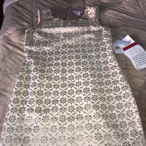 NWT Jessica Simpson dress with embellished collar!